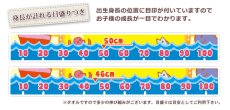 画像3: 太陽　今治製名入れバスタオル（約70cm×120cm） (3)